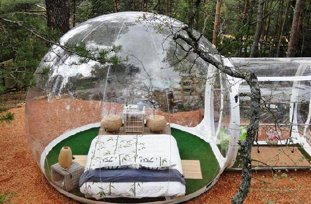 La tente transparente, pour un été sous les étoiles